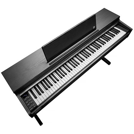 CUP-M1 SR Rosewood Kurzweil