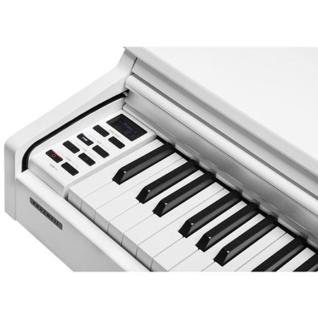 CUP-M1 WH White Kurzweil