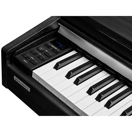 CUP-M1 BK Black Kurzweil