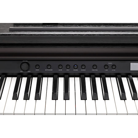CUP-E1 SR Rosewood Kurzweil