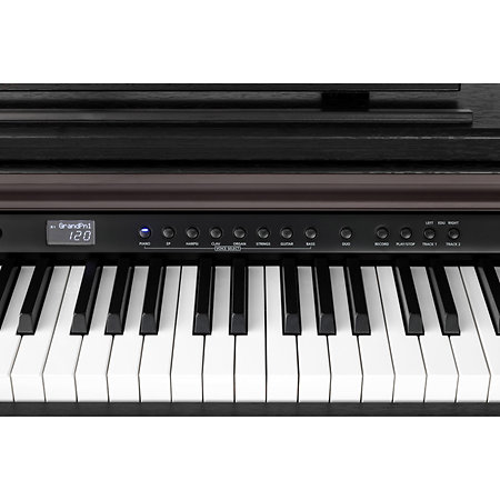 CUP-E1 SR Rosewood Kurzweil