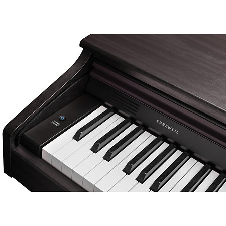 CUP-E1 SR Rosewood Kurzweil