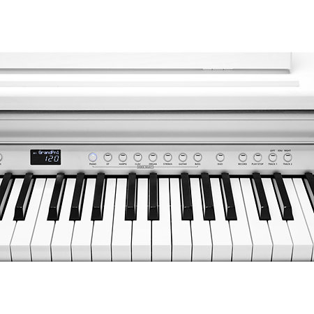 CUP-E1 WH White Kurzweil
