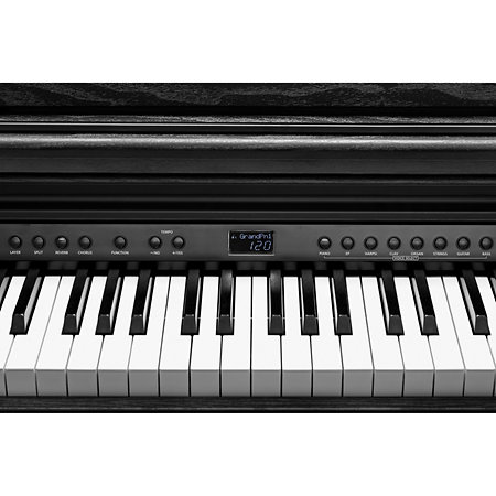 CUP-E1 BK Black Kurzweil