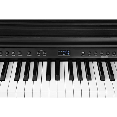 CUP-E1 BK Black Kurzweil