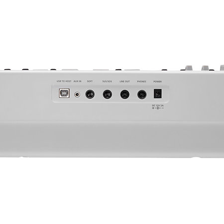KaE1 WH White Kurzweil