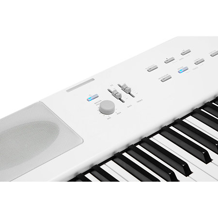 KaE1 WH White Kurzweil
