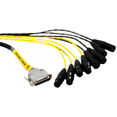AVID DigiSnake DB25/XLR mâle/femelle 3,6m