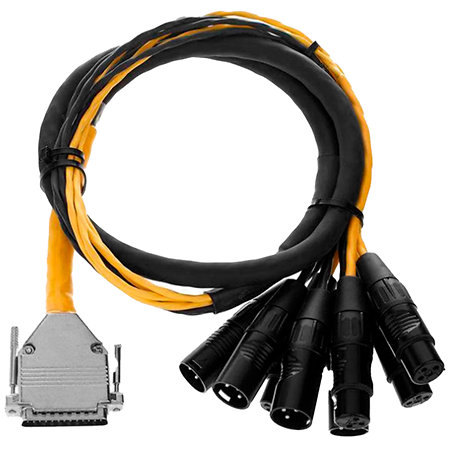 AVID DigiSnake DB25/XLR mâle/femelle 1,2m