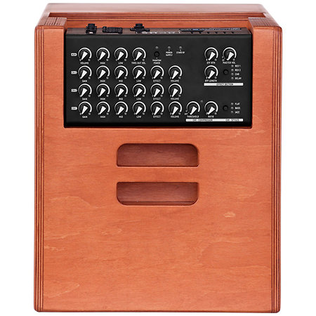 One ForStrings 10Ferdi Wood Acus