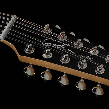 Godin A12 Black HG + Housse
