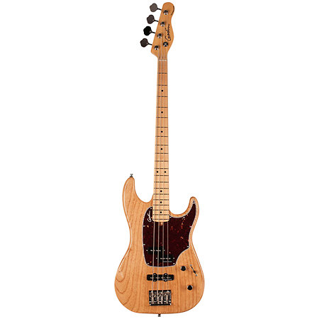RG-4 Swamp Ash + Housse Godin