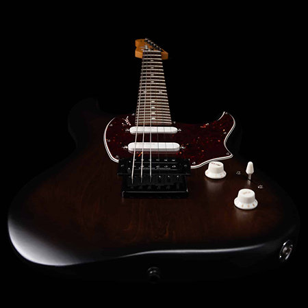 Session RHT Pro Bourbon Burst Godin