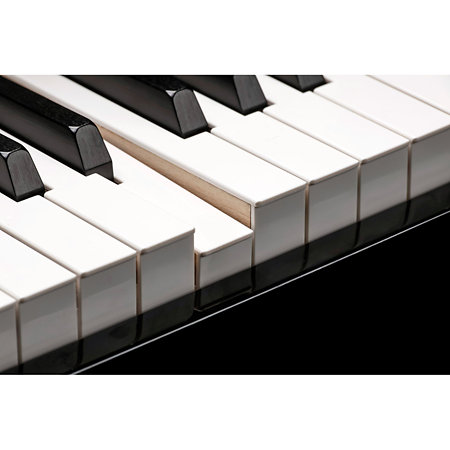 Kurzweil CUP G1W BP