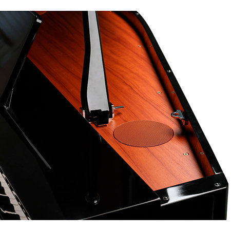 CUP G1W BP Kurzweil