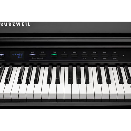 CUP G1W BP Kurzweil
