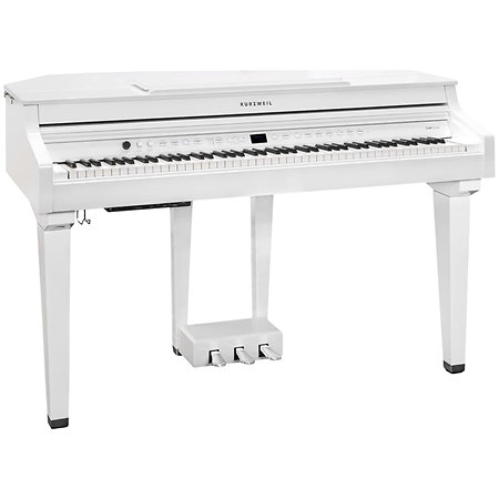Kurzweil CUP G1W WHP
