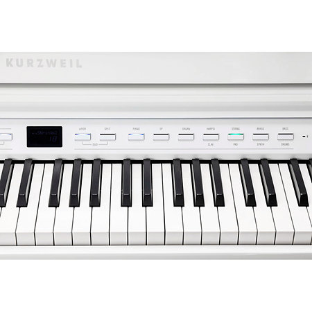 Kurzweil CUP G1W WHP