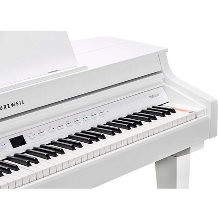CUP G1W WHP Kurzweil