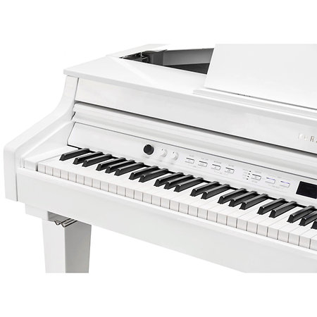 CUP G1W WHP Kurzweil