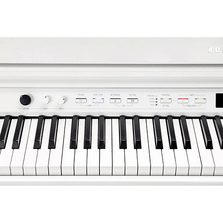 CUP G1W WHP Kurzweil