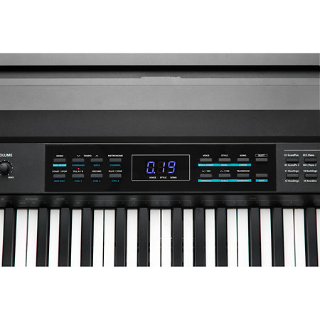 KA70 LB Black Kurzweil