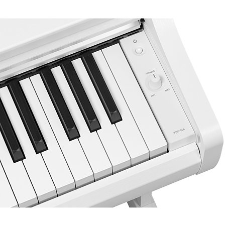 Arius YDP-166 White Yamaha
