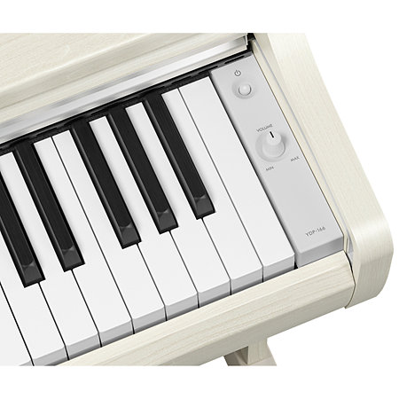 Arius YDP-166 White Birch Yamaha