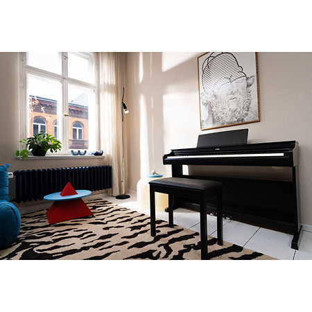 Arius YDP-166 Black Yamaha