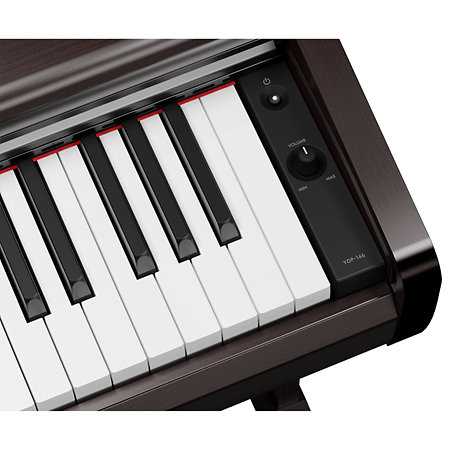 Arius YDP-146 Rosewood Yamaha