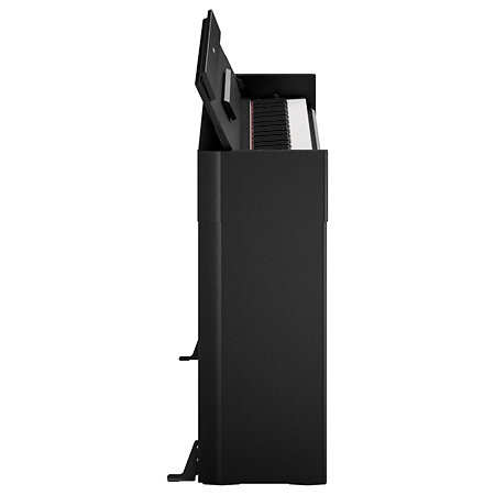 Arius YDP-S56 Black Yamaha