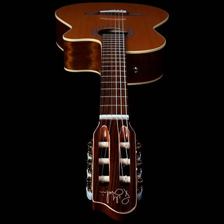 Concert CW Clasica II RN Godin