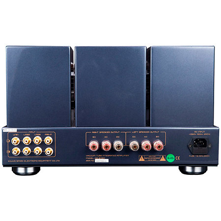 CS-805A Noir Cayin