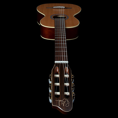 Motif Clasica II RN Godin