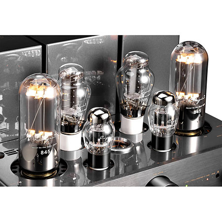 CS-845A Référence Noir Cayin