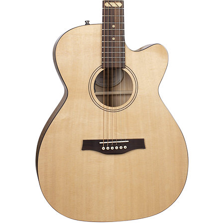Fairmount CW Flame Maple GT EQ + Housse Godin
