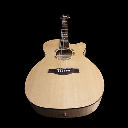 Fairmount CW Flame Maple GT EQ + Housse Godin