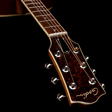 Metropolis Naturel RN GT EQ Godin