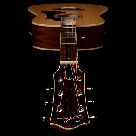 Metropolis Naturel RN GT EQ Godin