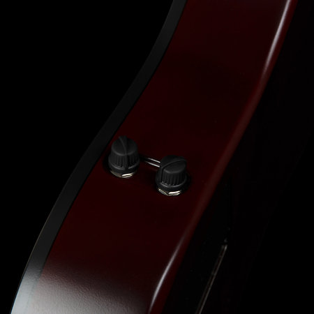 A4 Ultra Natural Fretless A/E Godin