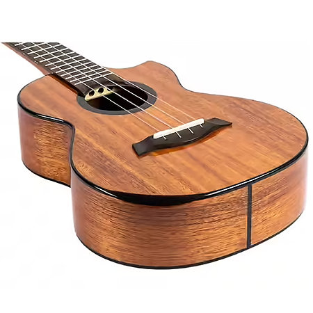 Nomad Tenor + Housse Flight