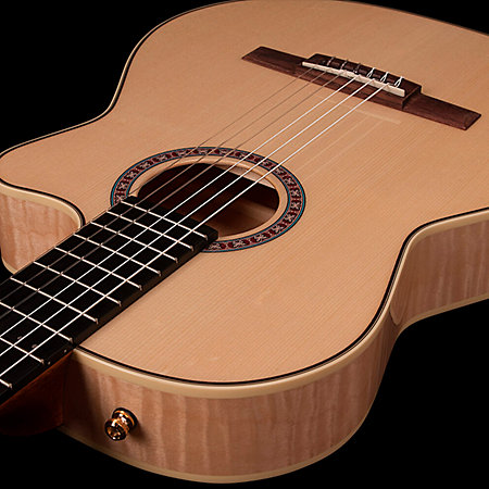 Arena Flame Maple CW EQ Godin