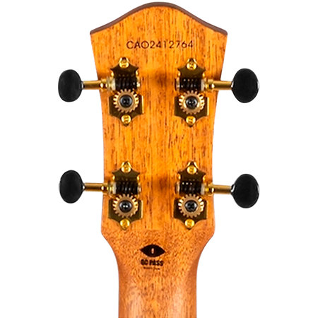 Nora Steel String Baritone EQ-A + Housse Flight