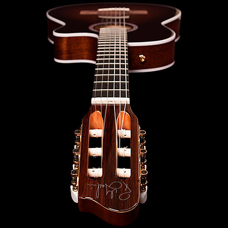 Arena Pro CW B. Burst Dual S. EQ Godin