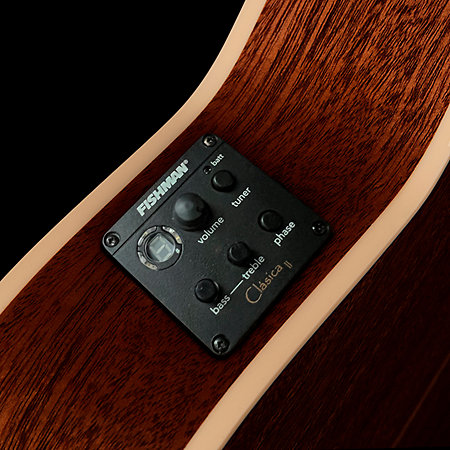 Arena Mahogany CW Classica II RN Godin