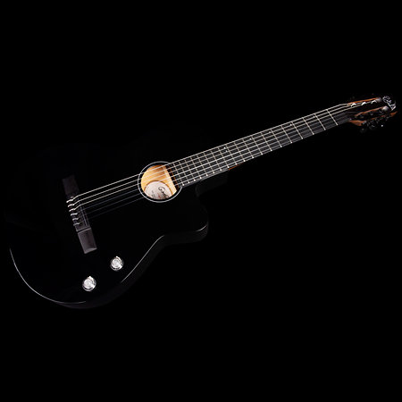 Arena Pro Ltd CW Onyx Black EQ Godin