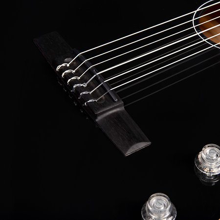 Arena Pro Ltd CW Onyx Black EQ Godin