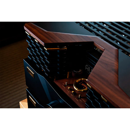 Cayin Pearl 30i