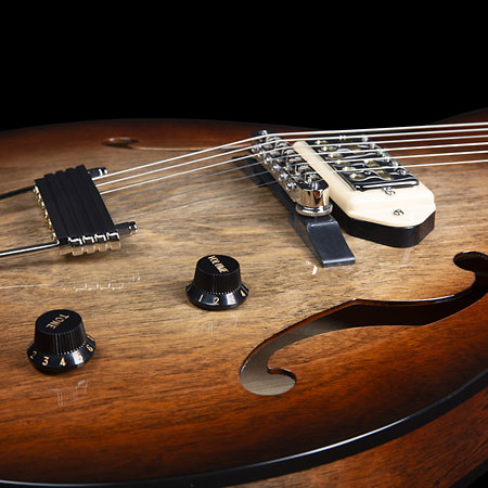 5th Avenue TL Vintage Burst HG Gold Foil Dogear Godin