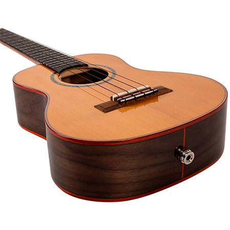 Diana CE Tenor + Housse Flight